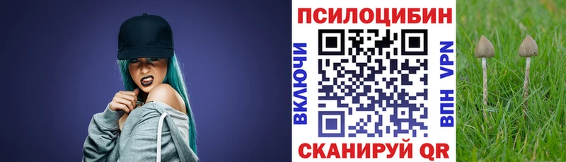 что такое   Новопавловск  Псилоцибиновые грибы мухоморы 